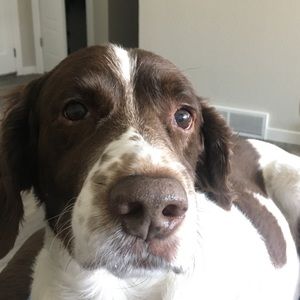 Meet your Posher, Eric